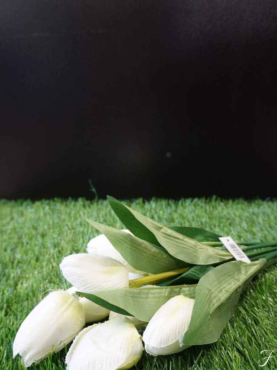 Tulips Fest Charm - White